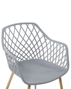 Set Of 2 Dining Chairs Grey NASHUA -Home Furniture undef src sa picid 775293 type whitesh image